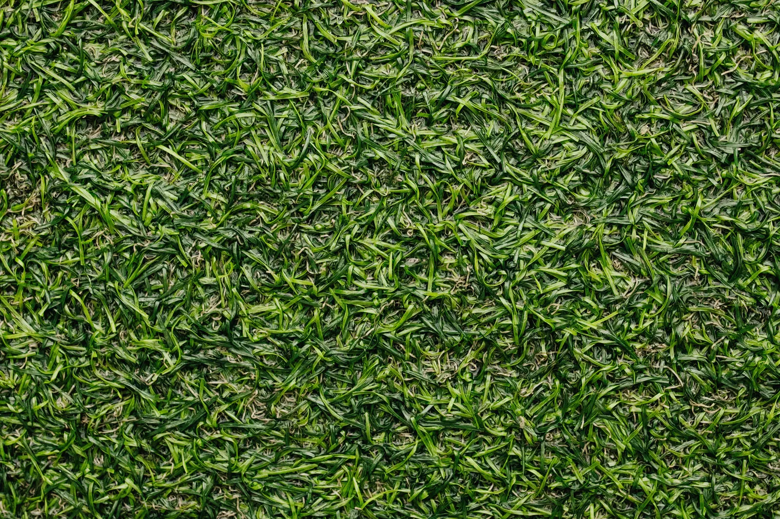 Close-up of artificial turf showing green blades over a tan thatch layer